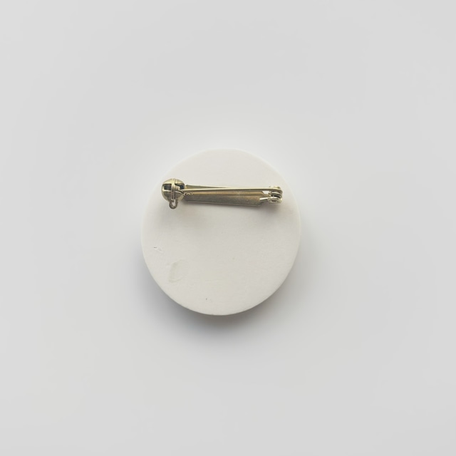 #25017 ブローチ/雰囲気の化石 Brooch/Atmospheric Fossil