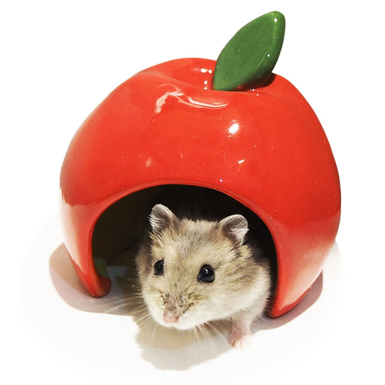 【小動物】 ジャンガリアンのカラフルドーム りんご/パイナップル