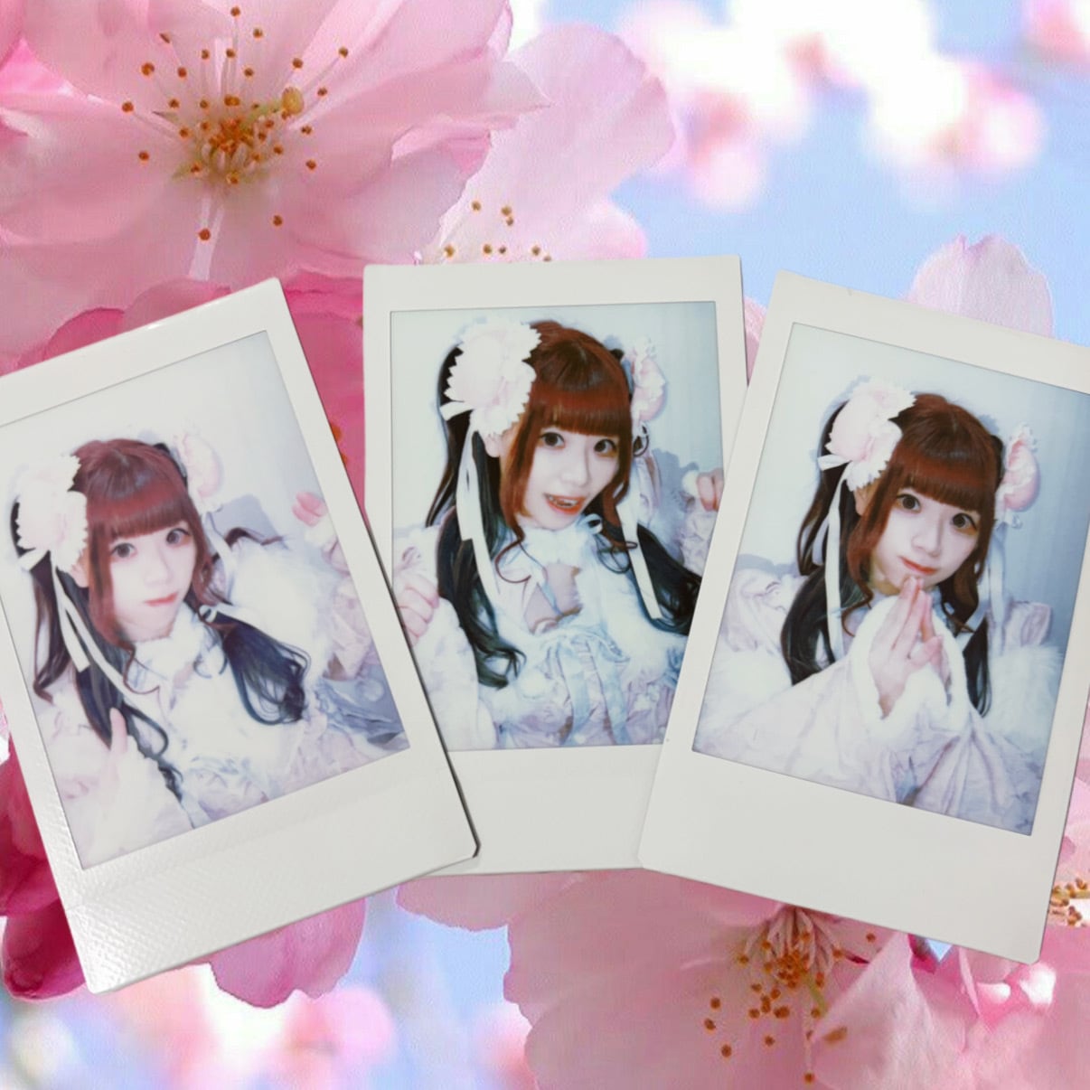 GPR通販限定チェキ】2月編 ひな祭り | GOLLIPOP RECORD OFFICIAL