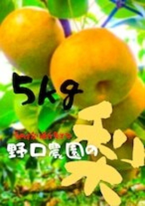 ⬛︎贈答用 豊水5kg