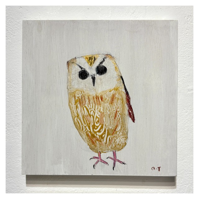 Q-enta　インドオオコノハズク