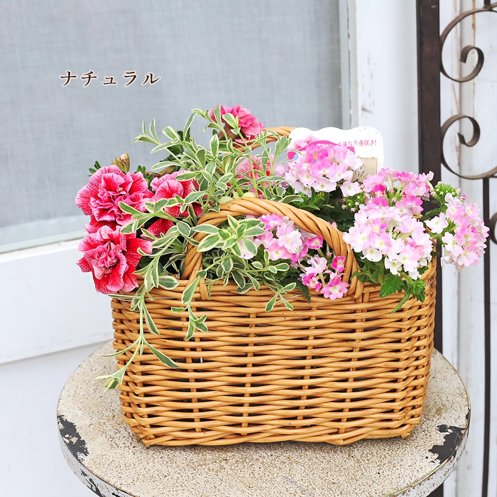 季節の花 寄せ植え おまかせ バスケット スクエア natural/brown
