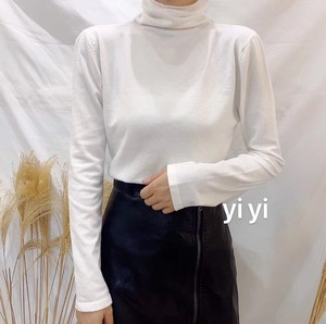 タートルネックトップス