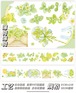 再販☆CE54 Ceenie【薄荷薄荷 上 下 】50mmx2m 特油 剥離紙付 マスキングテープ 全2種セット