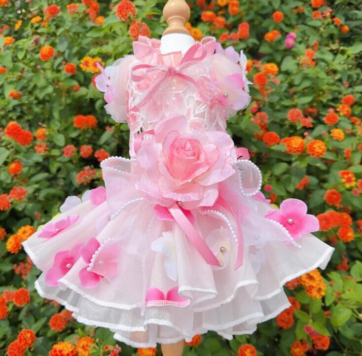 《予約》№3102157 ピンクローズドレス