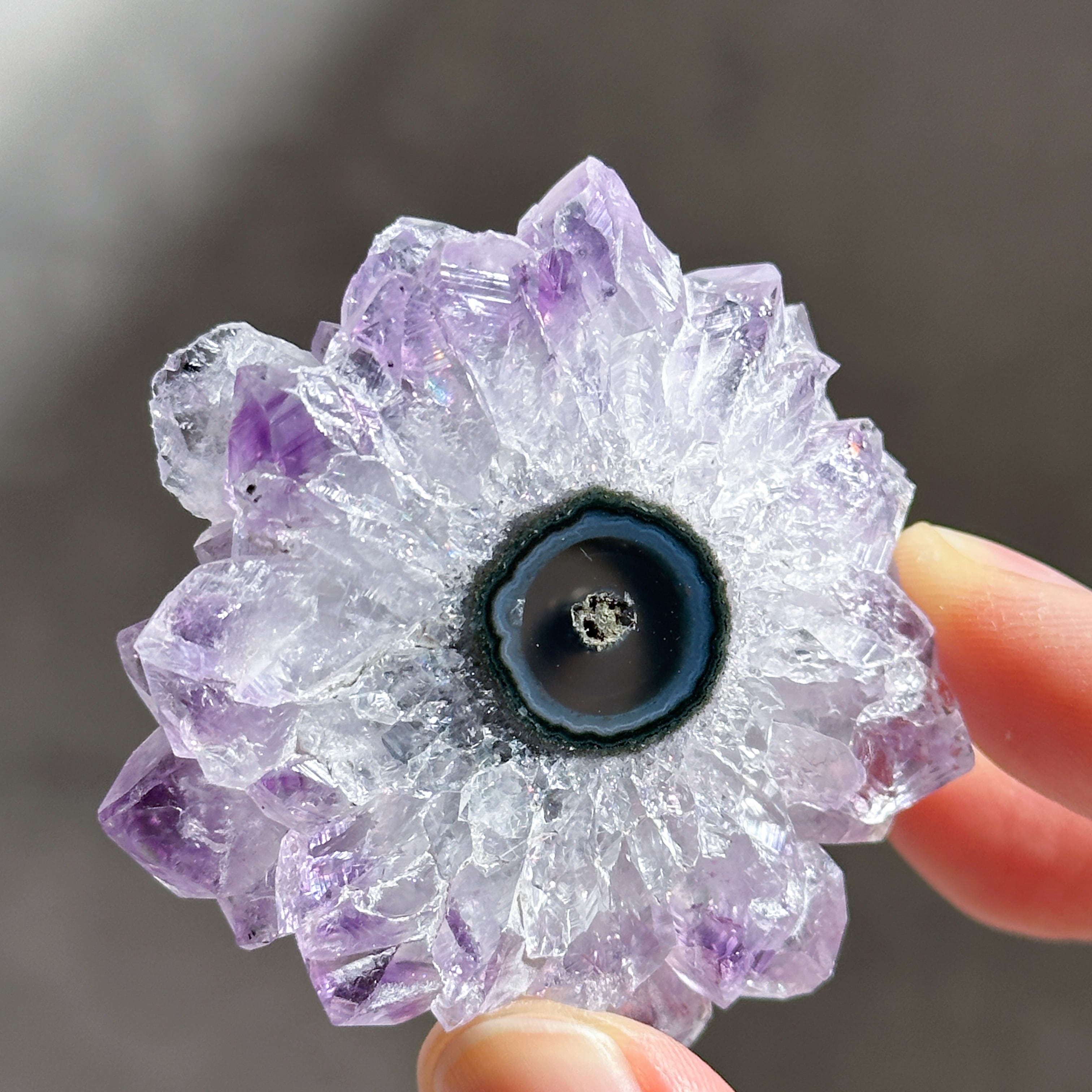 大特価☆ラスト希少風穴アメジスト☆美結晶 フラワーアメジスト スライス74◇ Flower Amethyst ◇天然石・鉱物