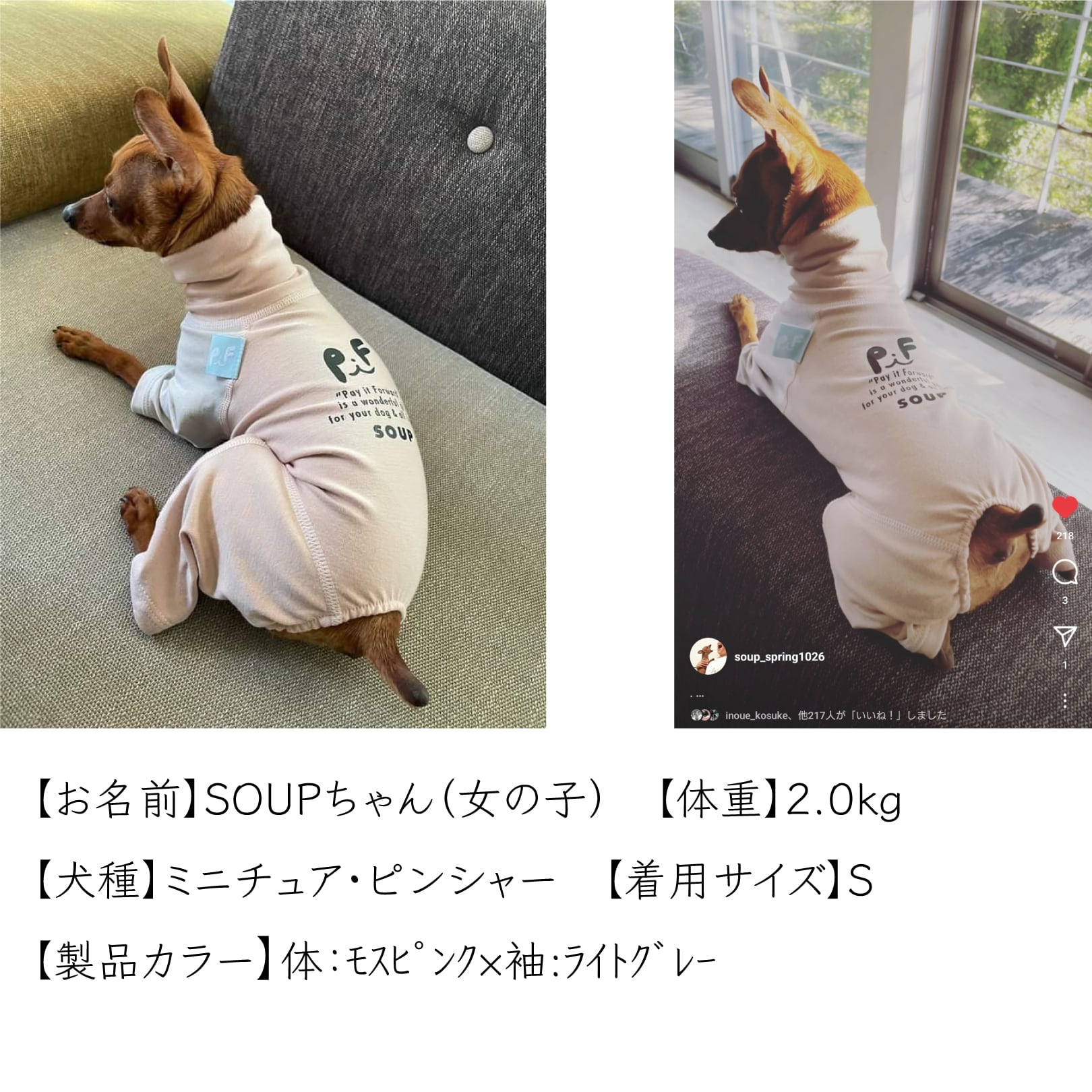 ミニチュア・ピンシャー用｜オーガニックコットン＆抗菌消臭効果生地