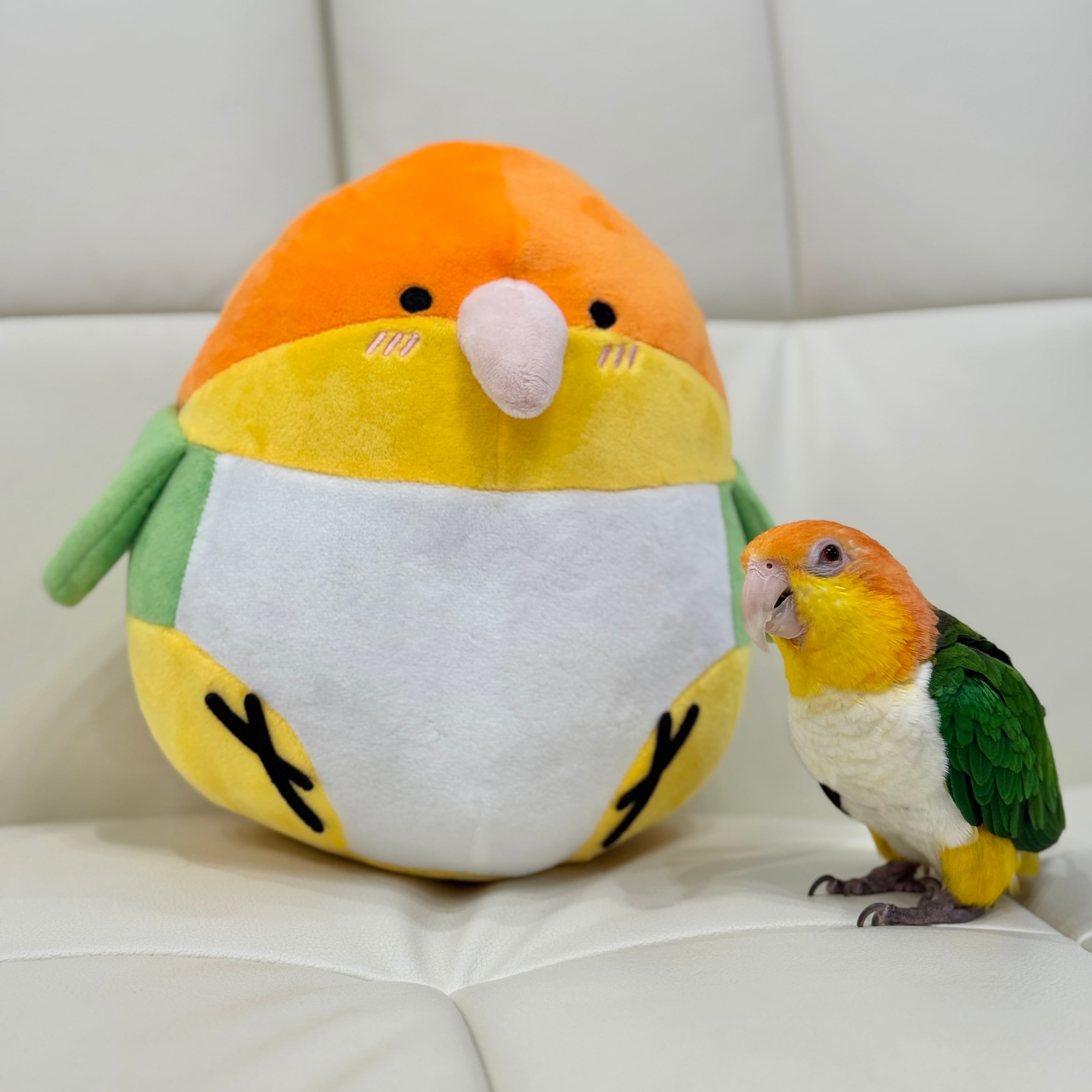 2羽と暮らすあんずちゃんねるSHOP
