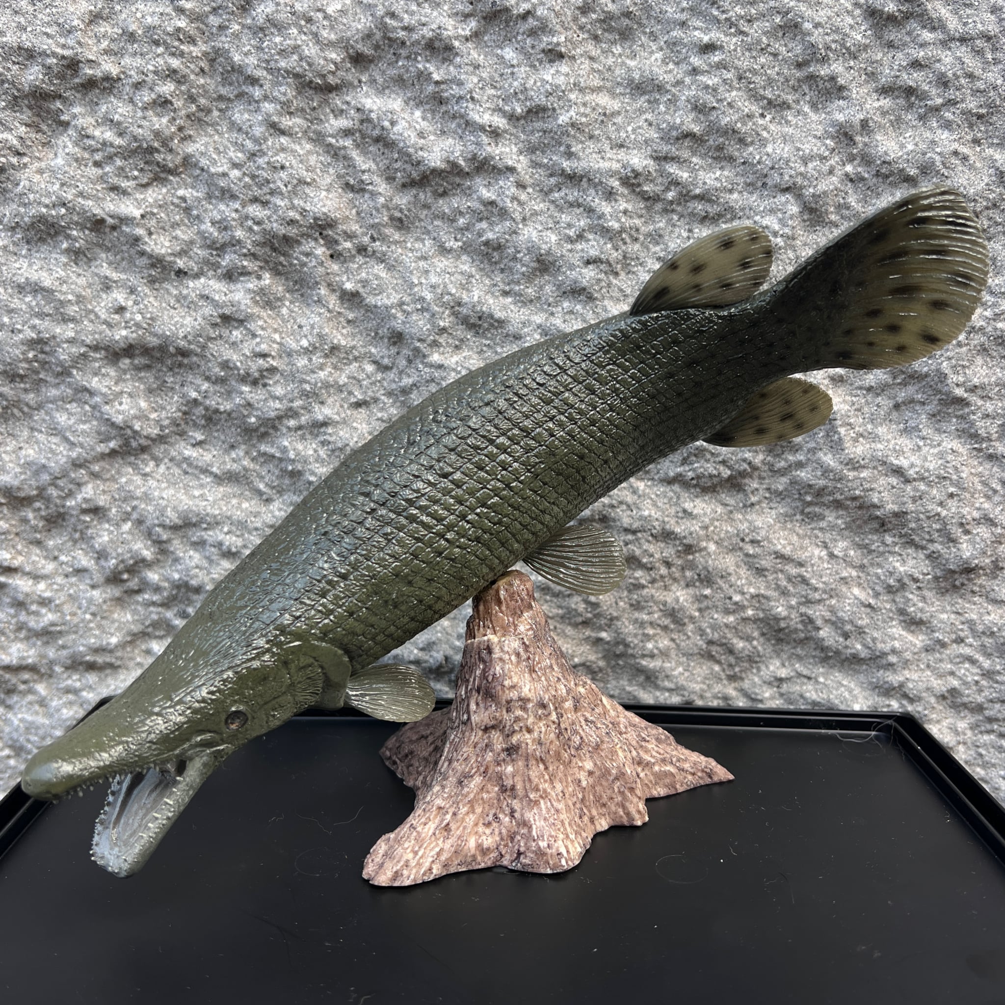 ○1円～ハンドメイド アリゲーターガー壁掛け 魚フィギュア 【公式通販】
