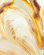 iPhone 16対応 / 16-N7