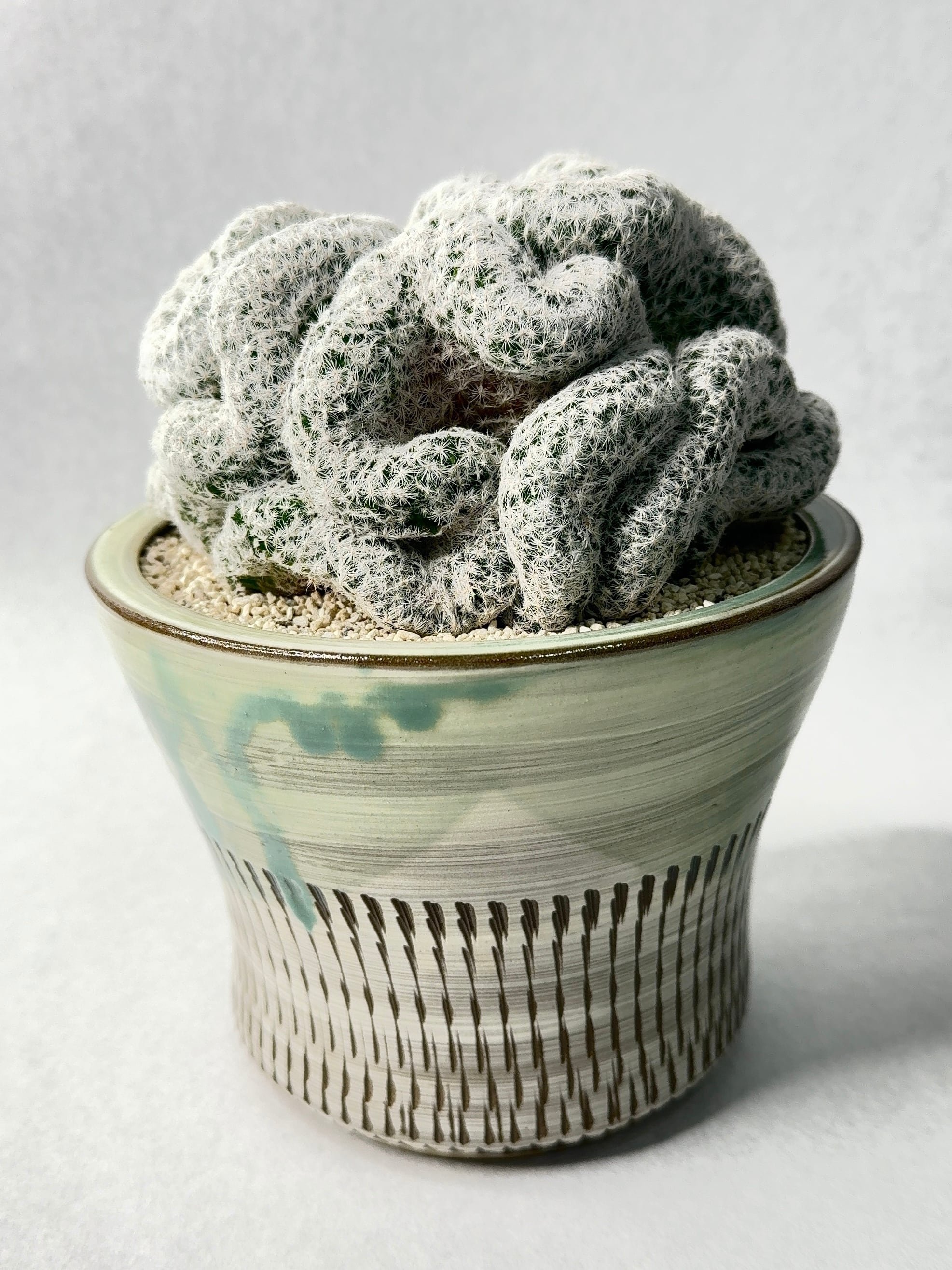 【 INDIVIDUALITY 】COLOR・白