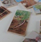 デュシマ社 地下メモリー