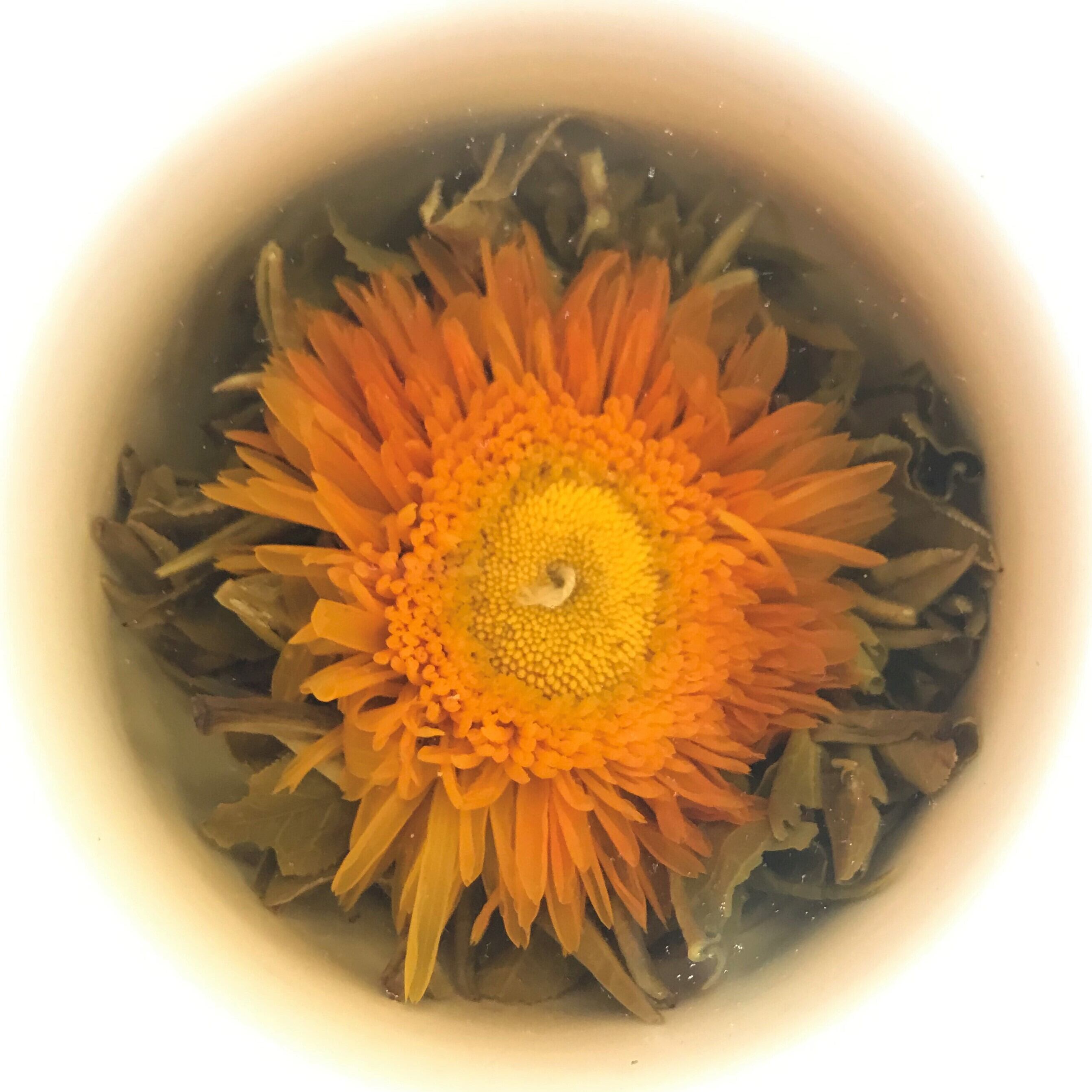 中国】広西省 工芸茶 金蓮花 花入ジャスミン(3個入) | 泰和商事 中華街