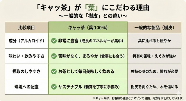 キャッツクローリーフティー　キャッ茶　ティーパック　３０包入