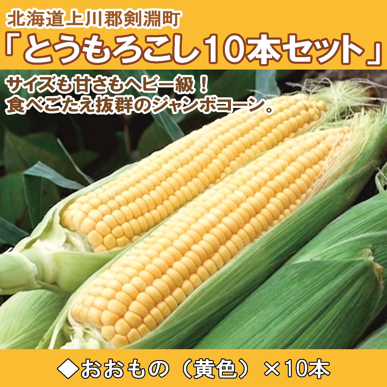 いちき串木野市特産品「サワーポメロ」のお菓子詰め合わせ | みなみの