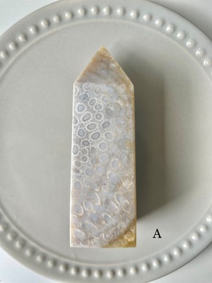 Fossil Coral Tower / フォッシルコーラル　タワー