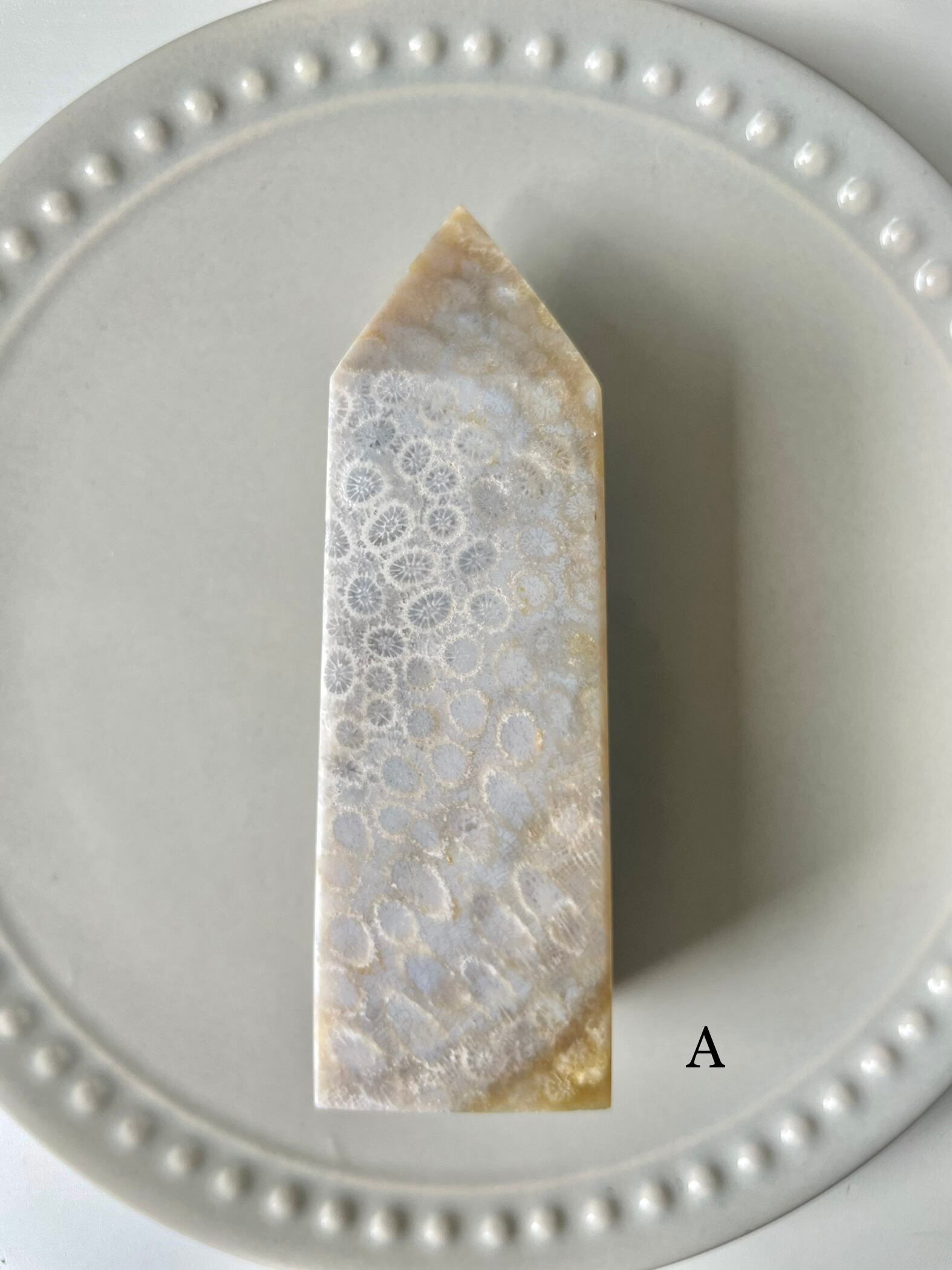 Fossil Coral Tower / フォッシルコーラル　タワー