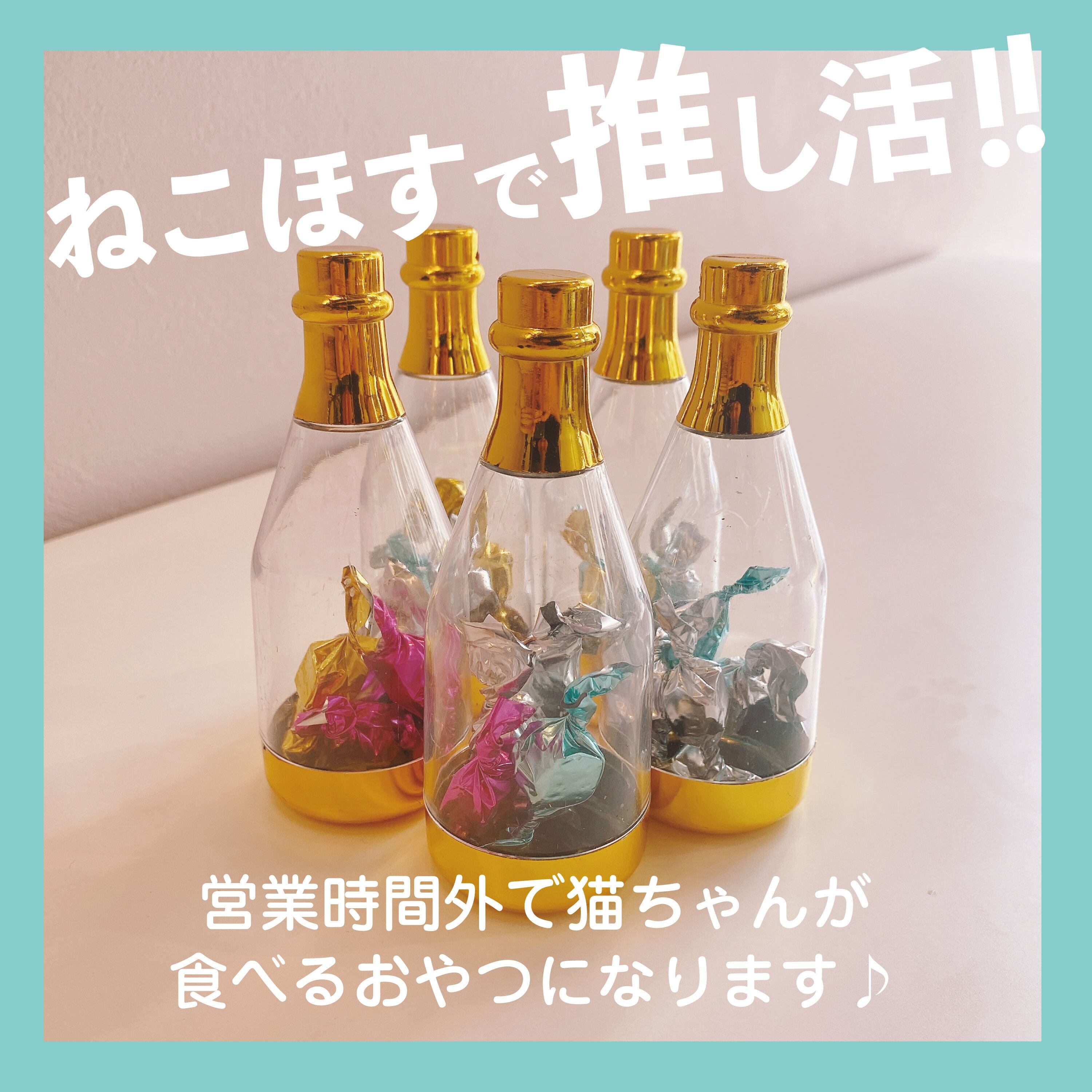 デカフェ様専用トイレ付猫ゲージ＆のぼれんニャンまとめ売り