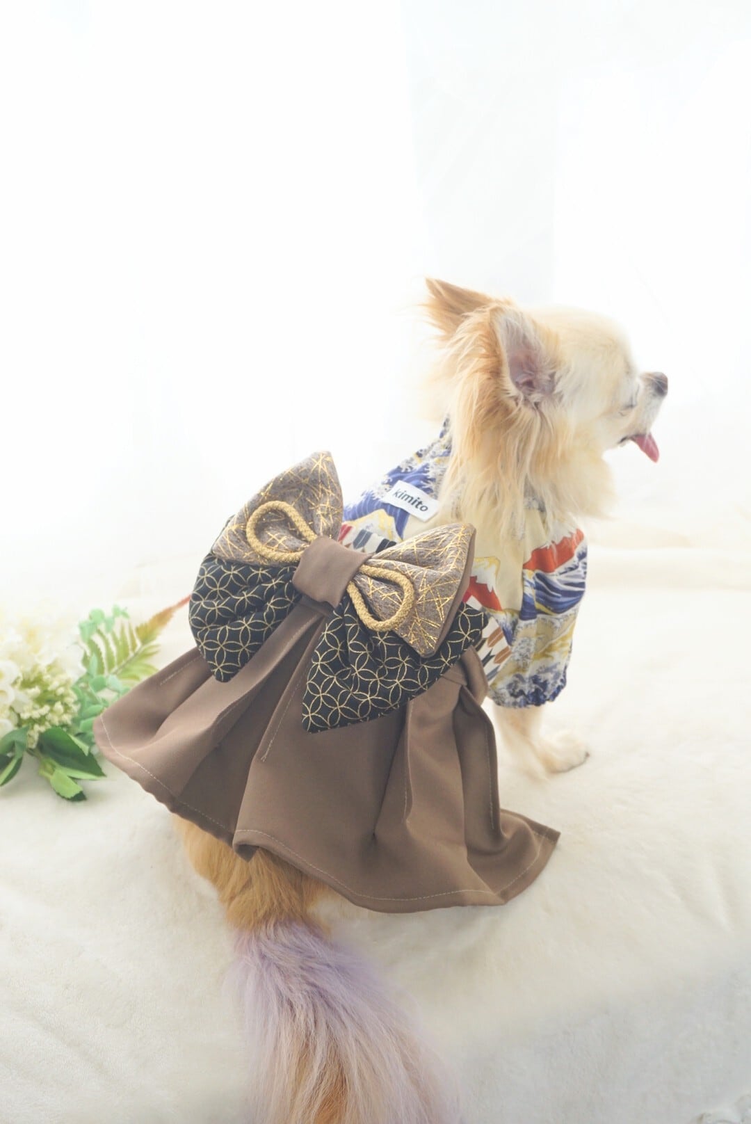 犬服キミト（kimito）