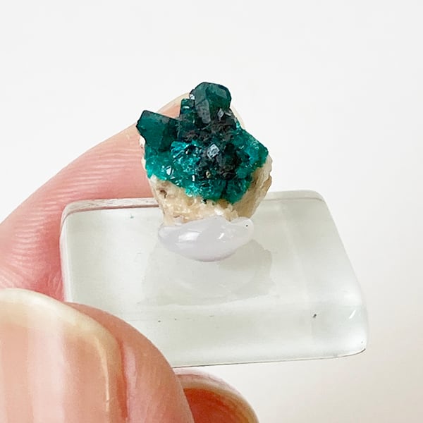 ダイオプテーズ_翠銅鉱〈dioptase〉 | Mineral&Fossil