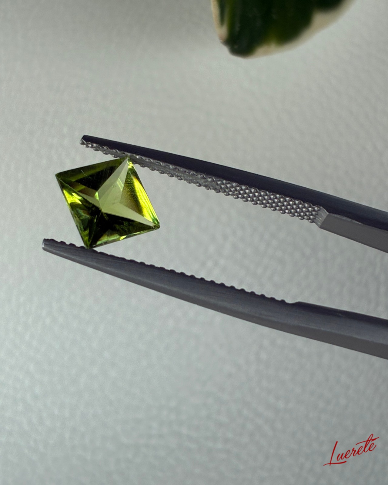 Peridot 1.55ct｜天然ペリドット【LE-0090】