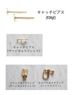 【K14gf】Veronica persica “single“