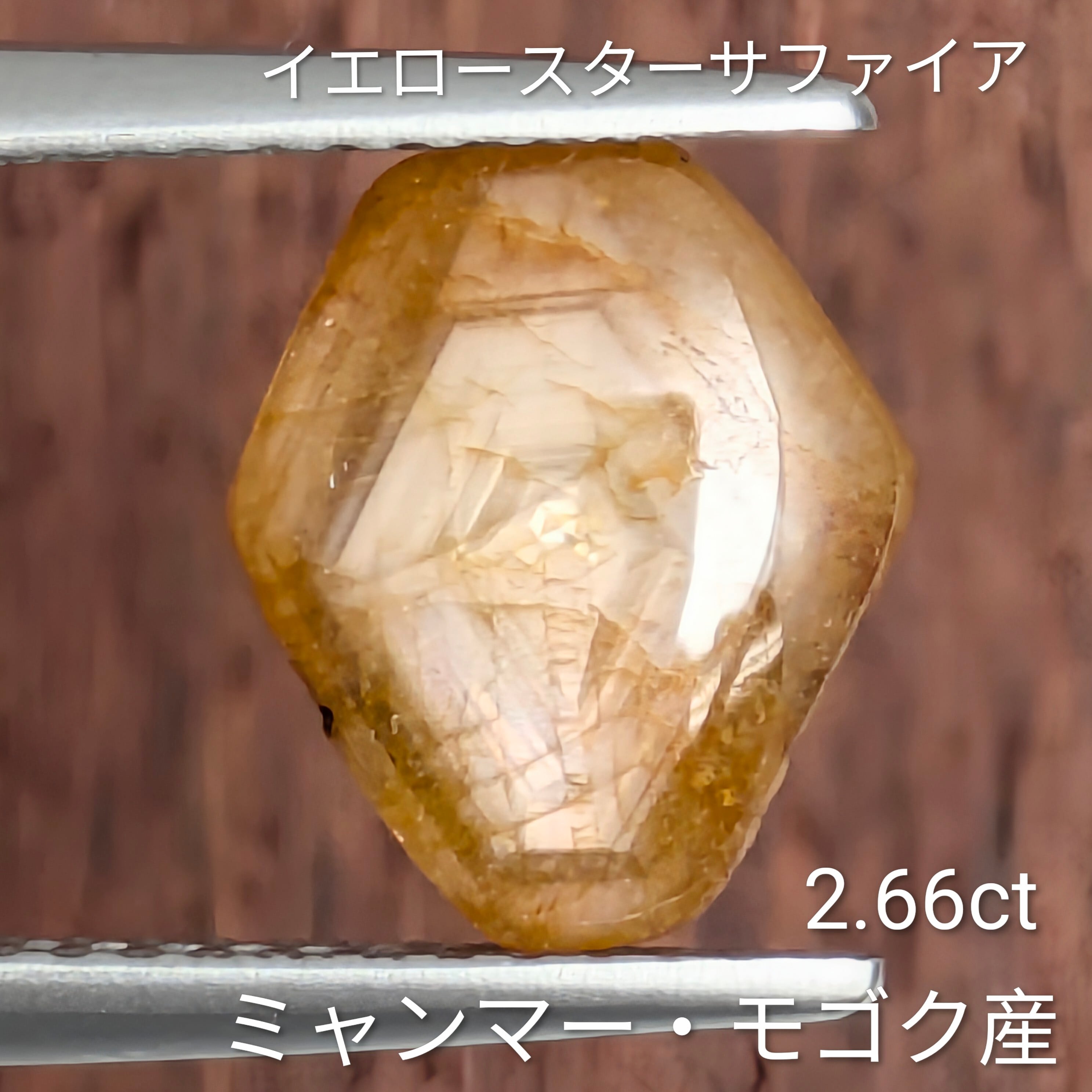 イエロースターサファイア ルース 【2.66ct】 PRO209197 | Gem's