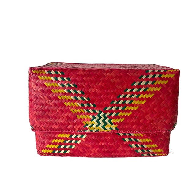 Rectangular colourful basket M w25.5cm×14.5cm×h16.5cm 四角カラフル蓋付き収納かご