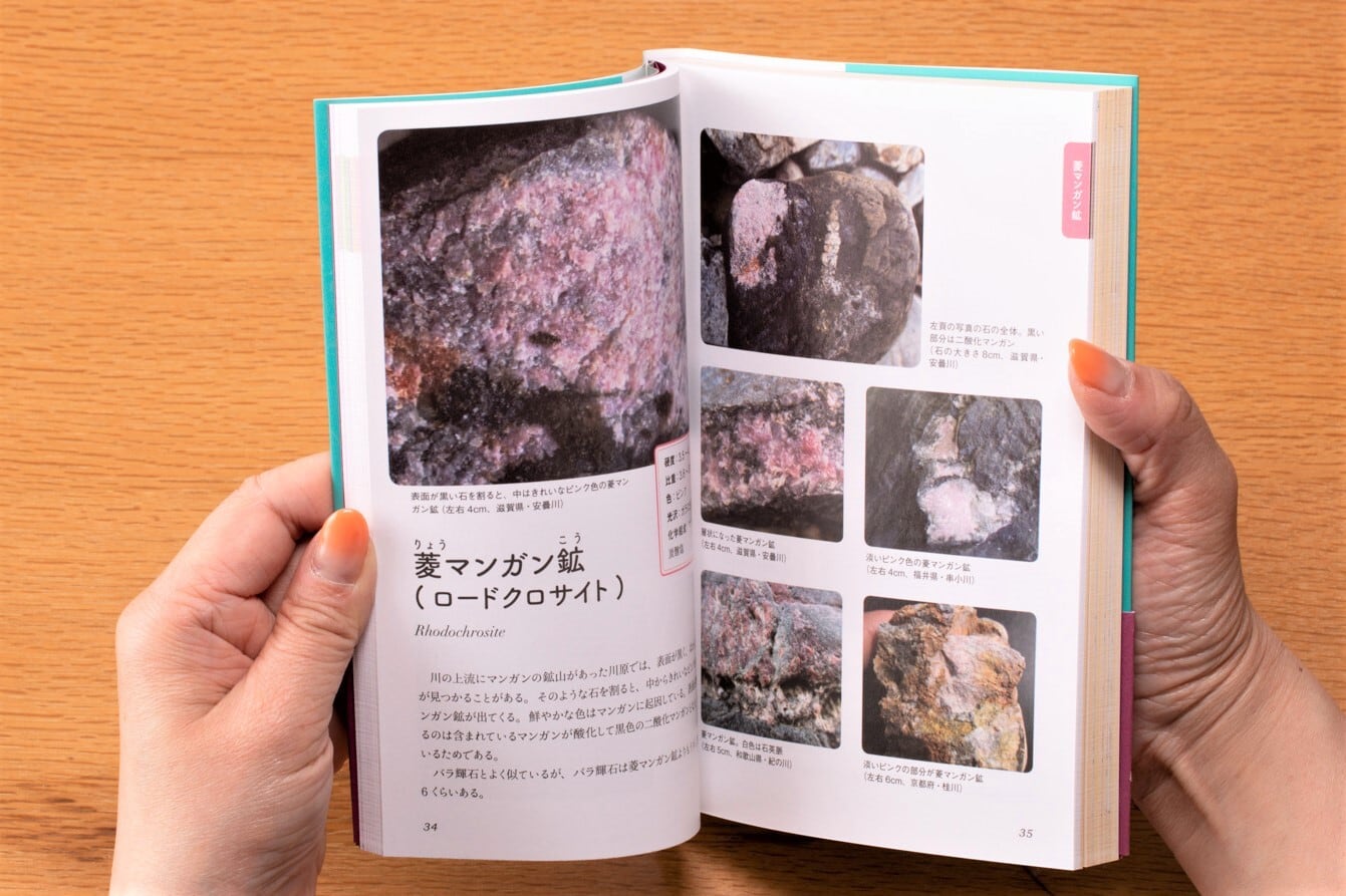 ひとりで探せる川原や海辺のきれいな石の図鑑2 | かざりすの森