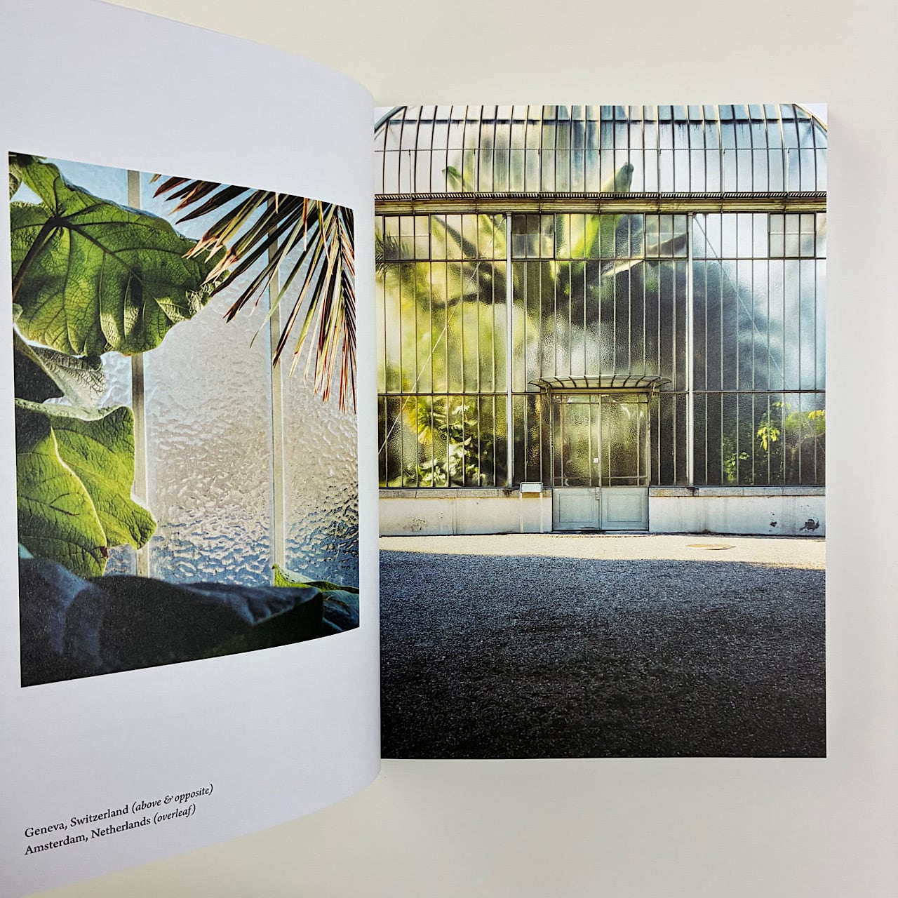 Botanical | 素敵な洋書絵本のお店 Read Leaf Books
