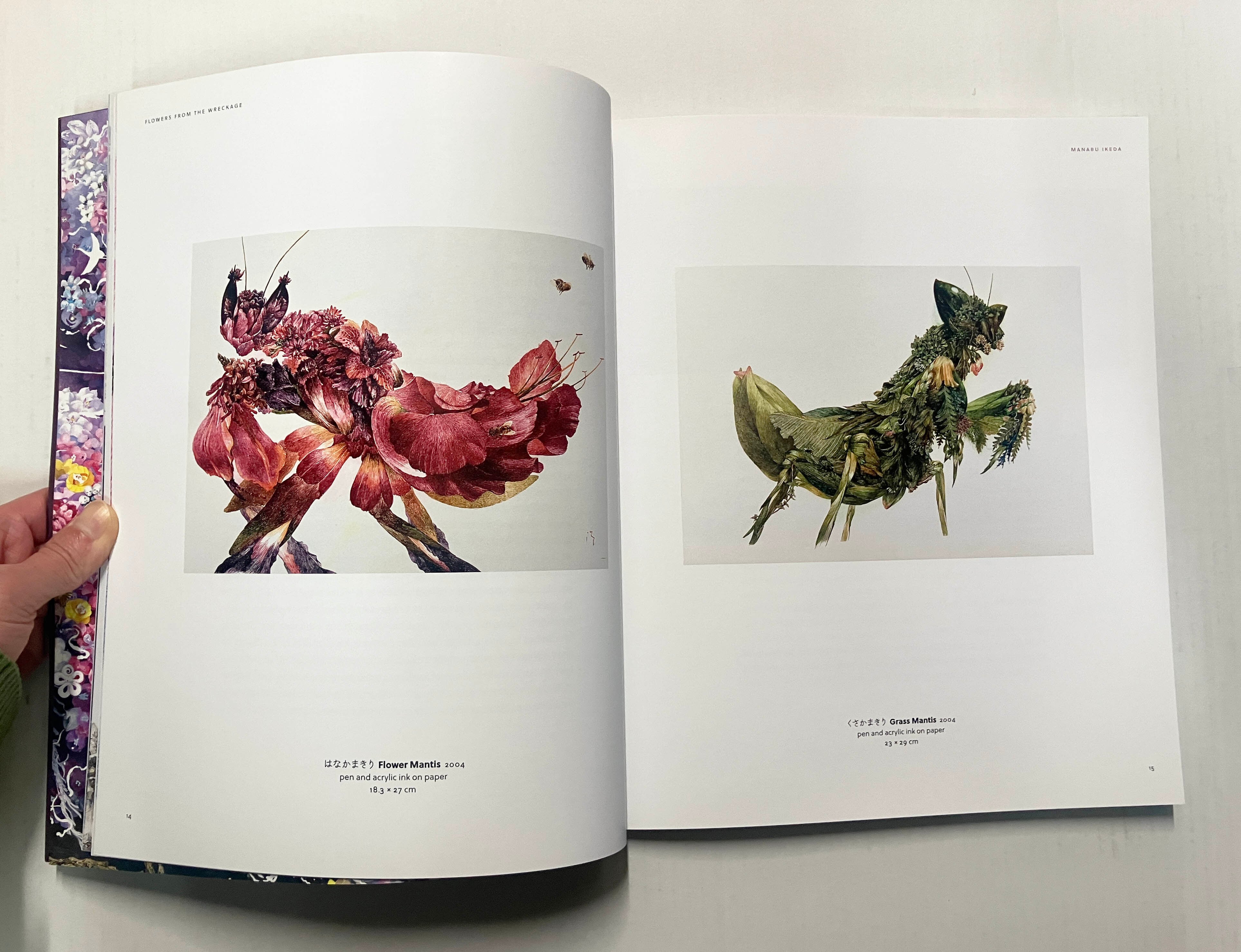 ☆英語のみ）池田学『Manabu Ikeda | Flowers from the Wreckage