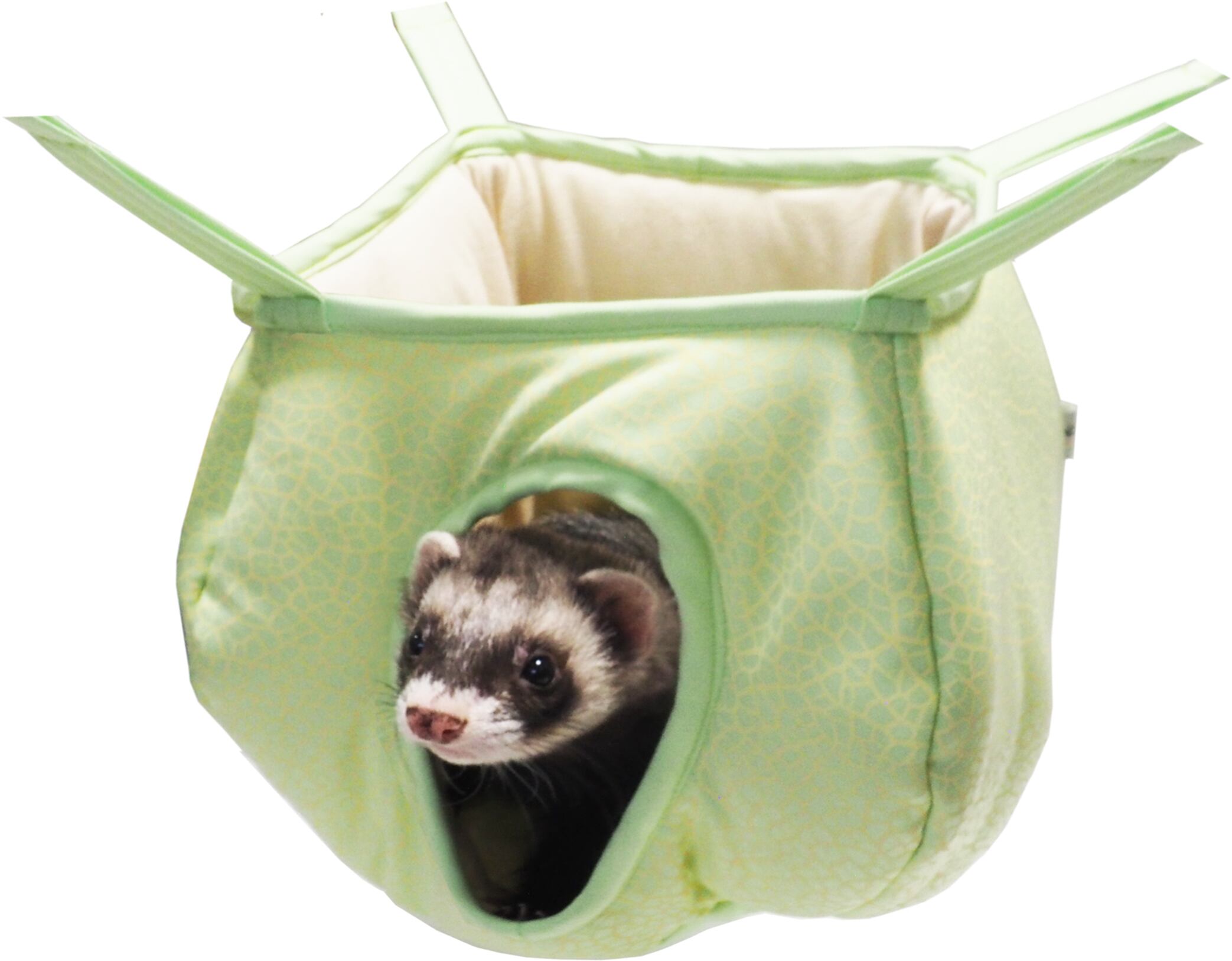 【フェレット用品】フルーツハウス メロン