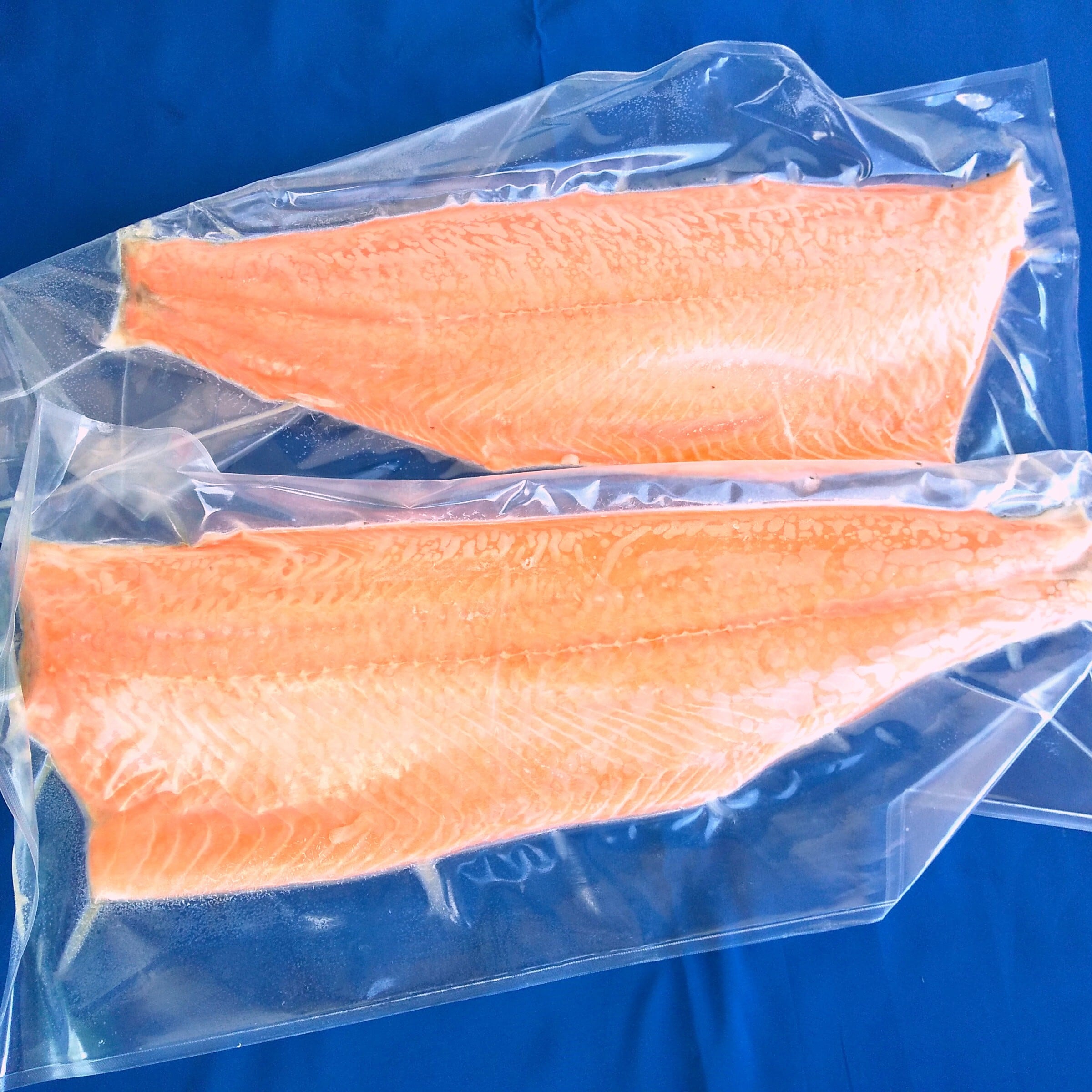 チリ産アトランティックサーモン トリムC【プレミアム】 （箱売り