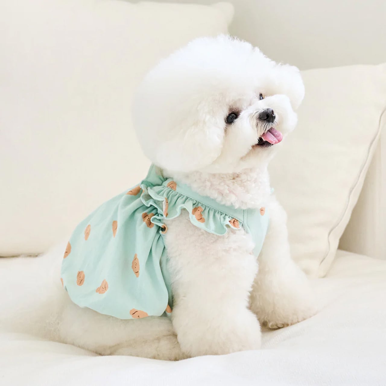 BENNYS パジャマ バルーントップ ドッグウェア ペットウェア 犬服 春服