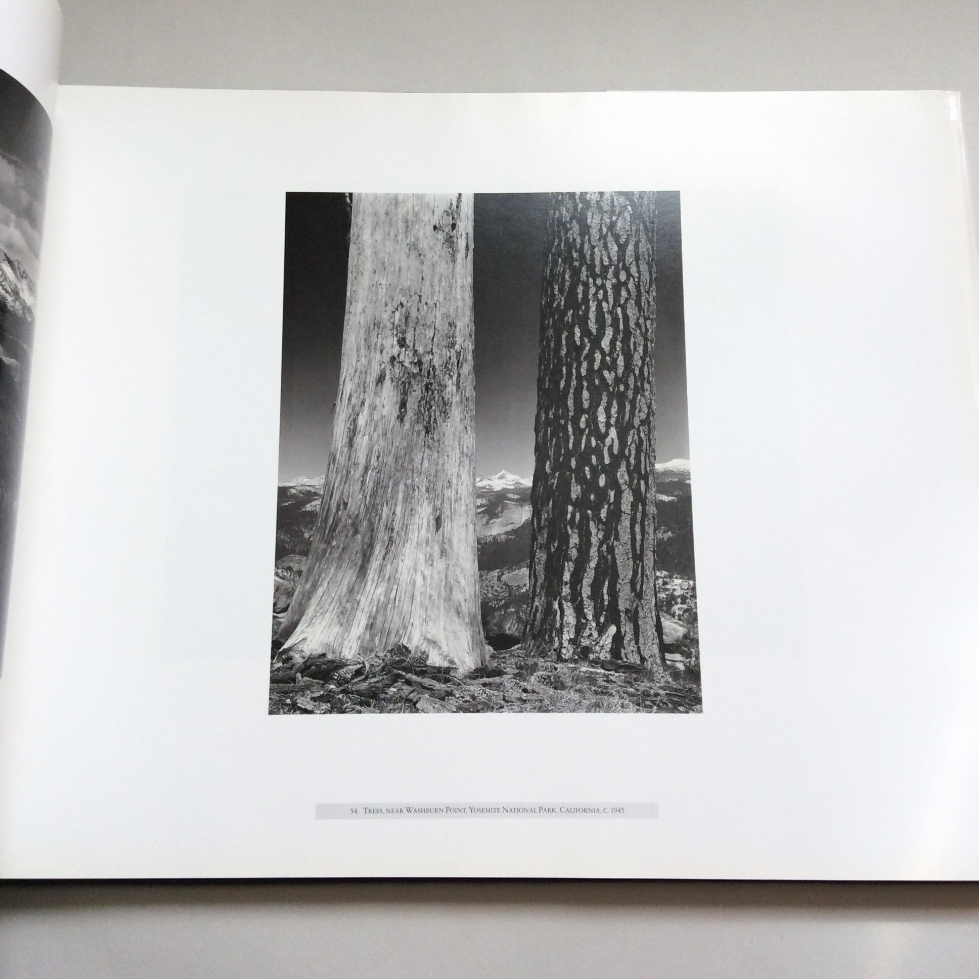 THE AMERICAN WILDERNESS / Ansel Adams | CATALOG&BOOKs powered by BASE THE AMERICAN WILDERNESS / Ansel Adams | CATALOG&BOOKs powered by BASE