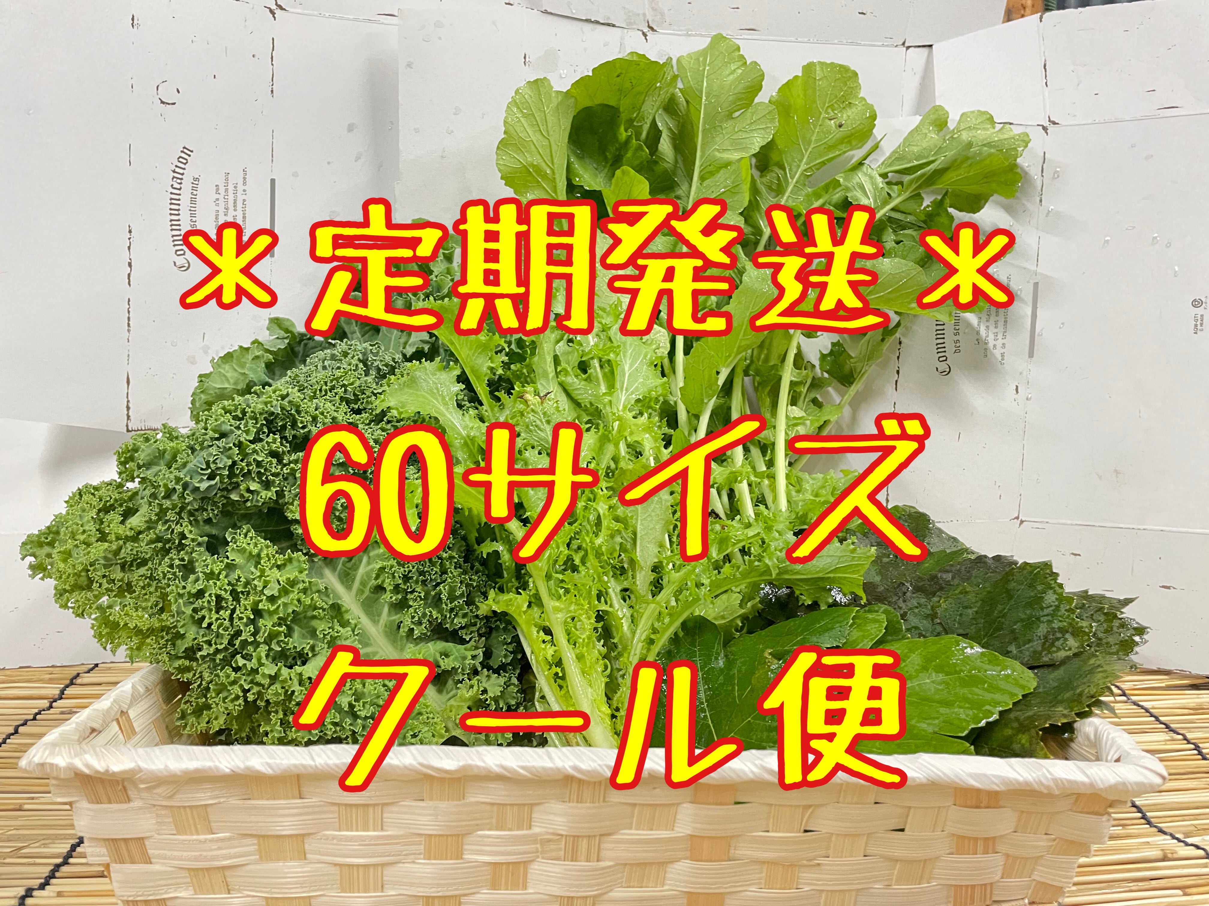 一枚の葉 定期発送＊ クール便 プチサイズ『コンパクト』 | 京都葉っぱ屋(仮)