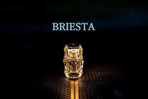 BRIESTA