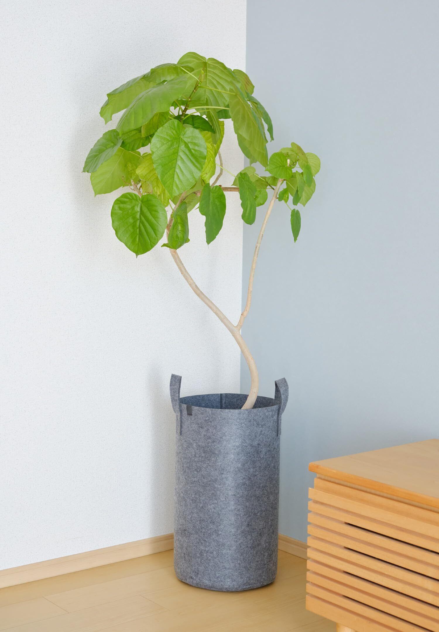 新着商品】鉢カバー 観葉植物 8号 9号鉢対応 トール プランターカバー