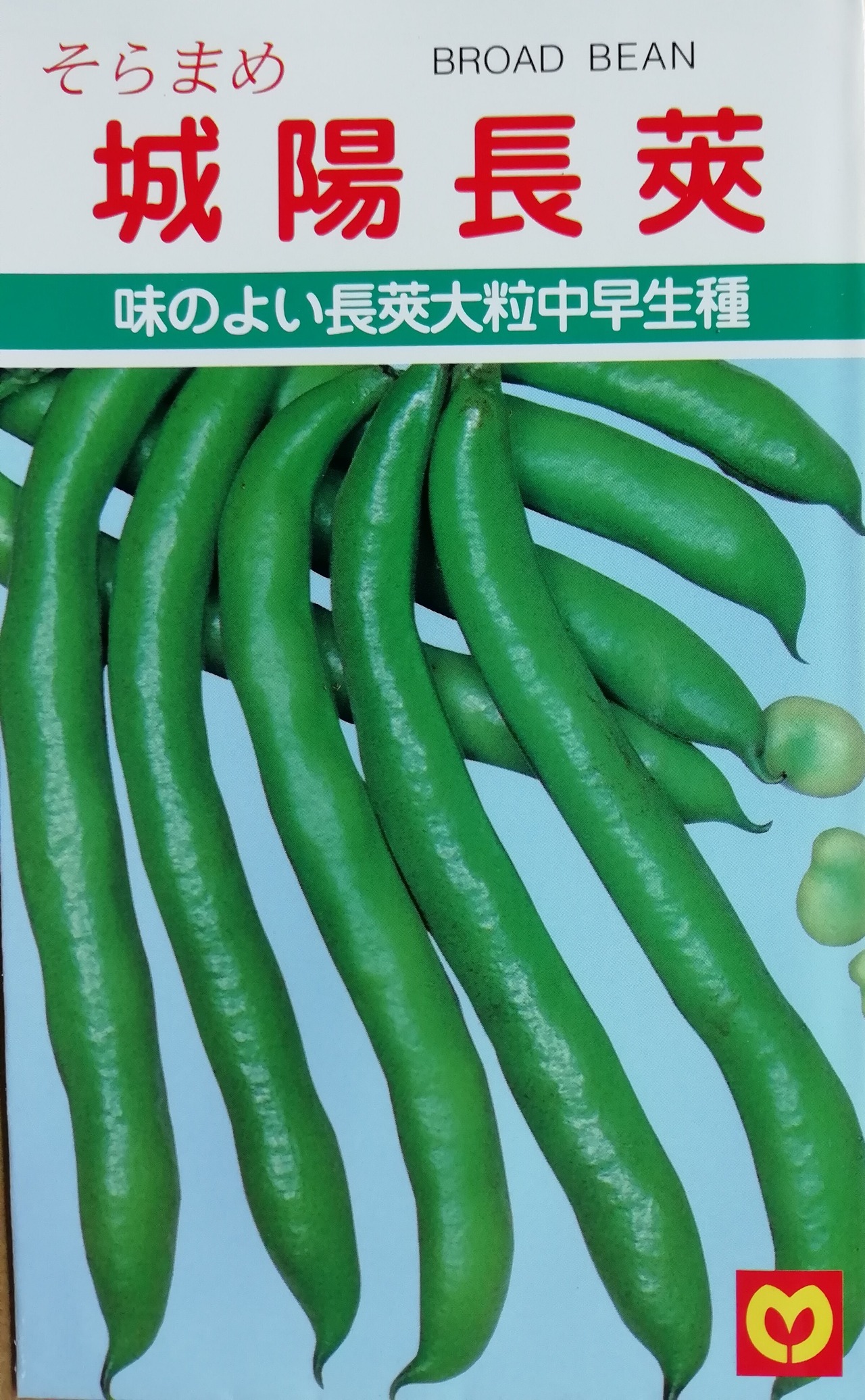 味のよい長莢大粒中早生種　城陽長莢　そらまめ