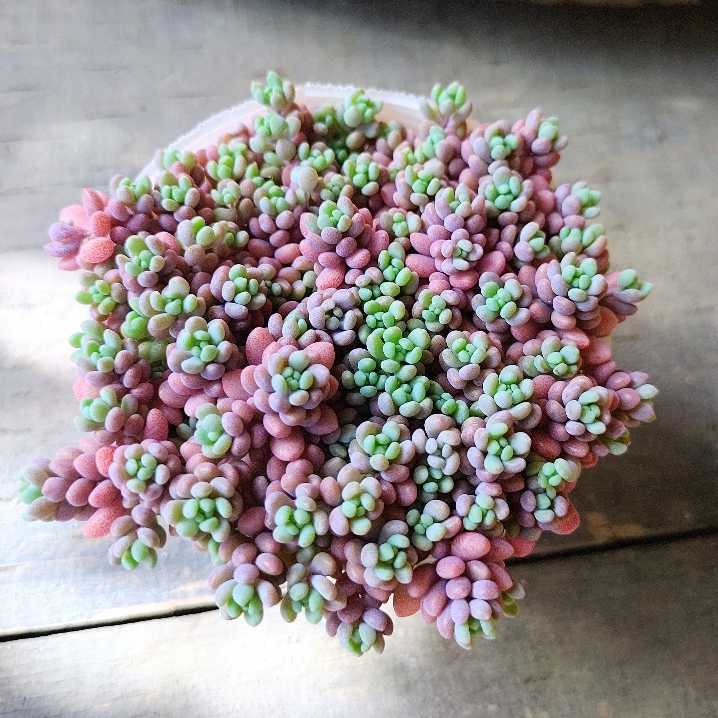 04a4d11dfb58229bb79d6b61420a75