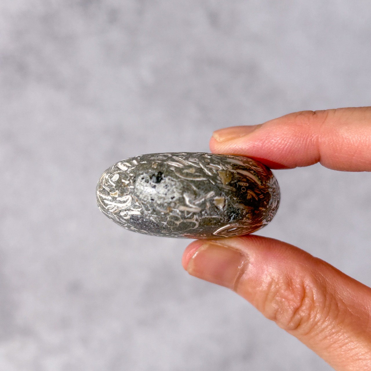 ツリテラアゲート 04 パーム * Turitella Agate * 天然石