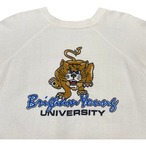 1980’s Raglan College Sweat