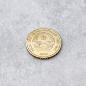 ベトナム 5000ドン コインリング|VIETNAM 5000DONG COINRING
