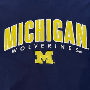 【PROEDGE】カレッジ ミシガン大学 Michigan Tシャツ アーチロゴ 刺繍ロゴ XL ビッグサイズ US古着 アメリカ古着