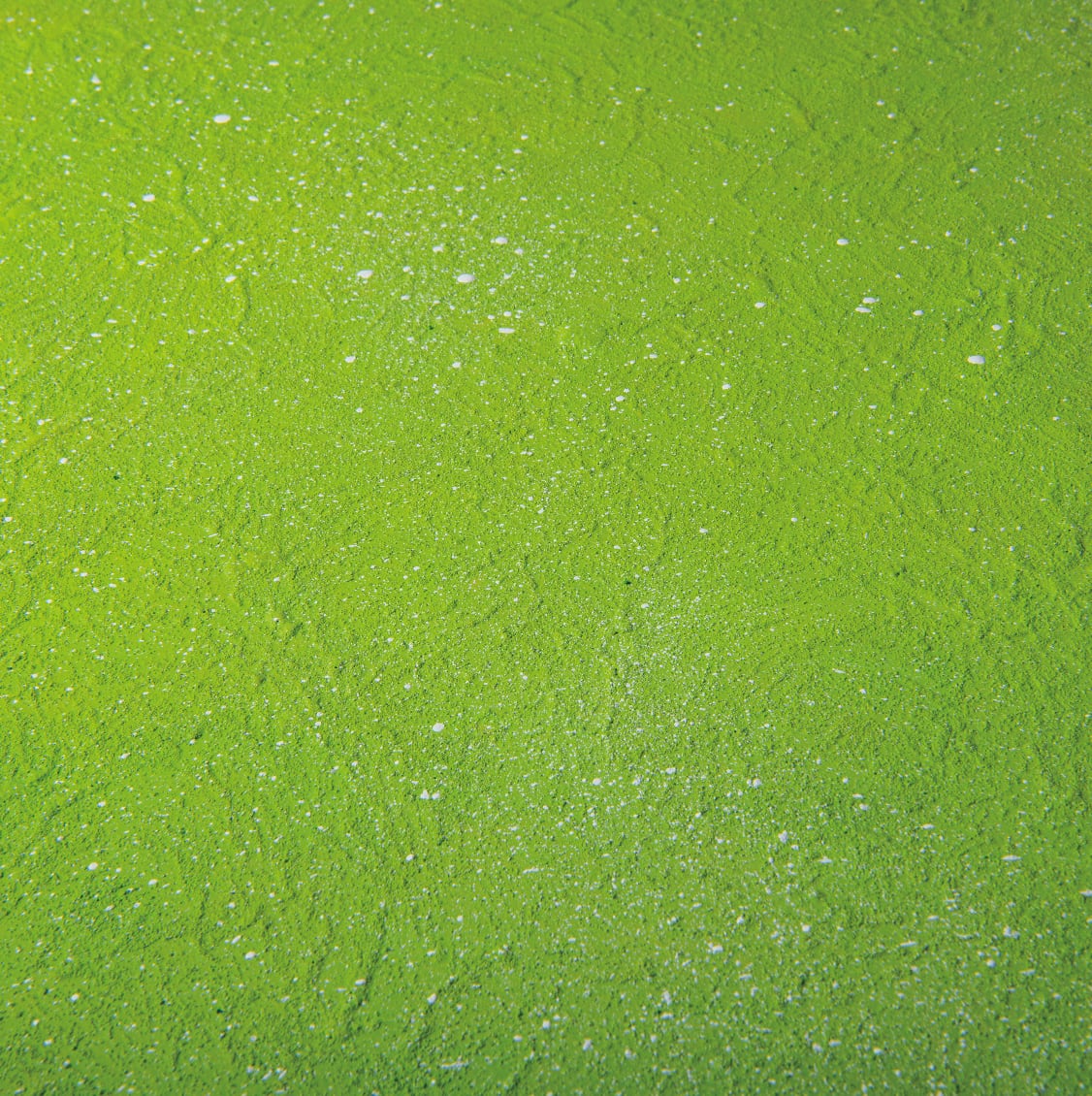 期間限定販売❗️BAEL PHOTO BOARD PRO〈IBUKI〉