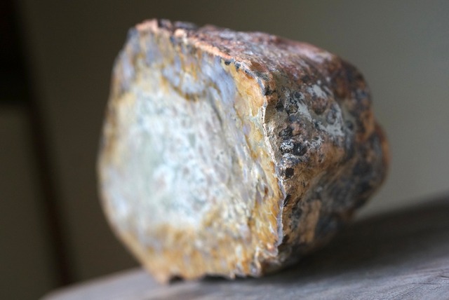 恐竜の糞石（コプロライト） Dinosaur Coprolites