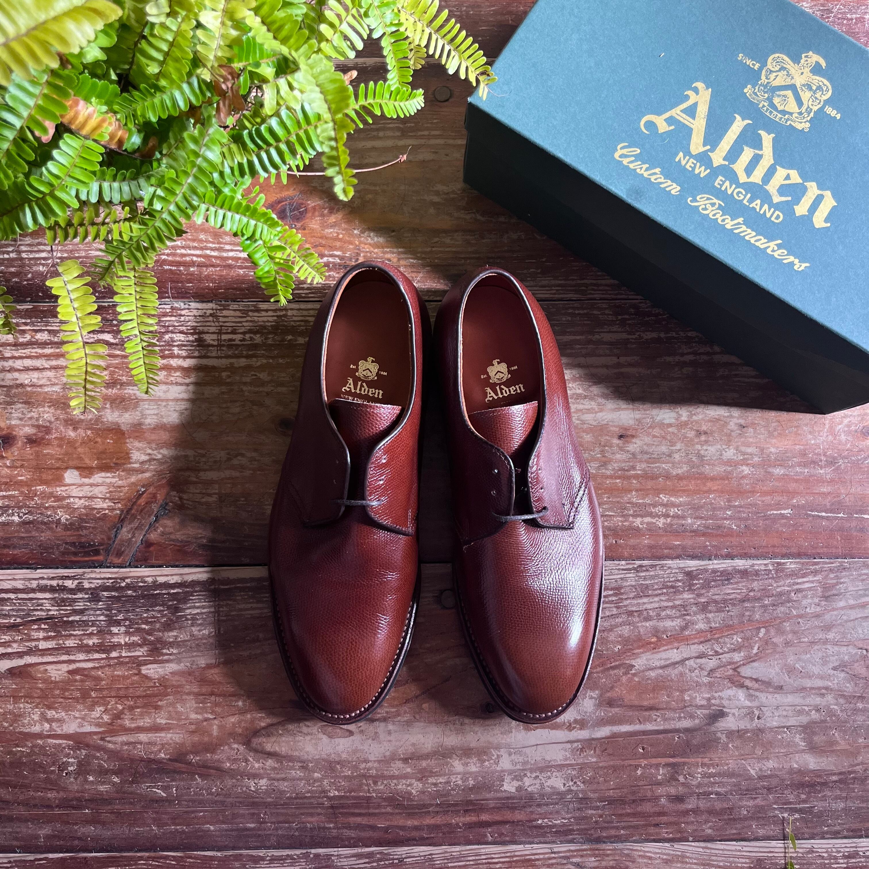 Alden 942 C Grain Calf Dutton Blucher Plain Toe Shoes /9.5 D | Rei ...