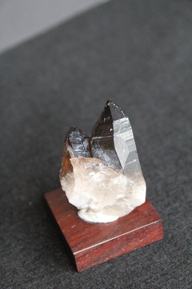 【2101】宮崎スモーキー ローズウッドベース大