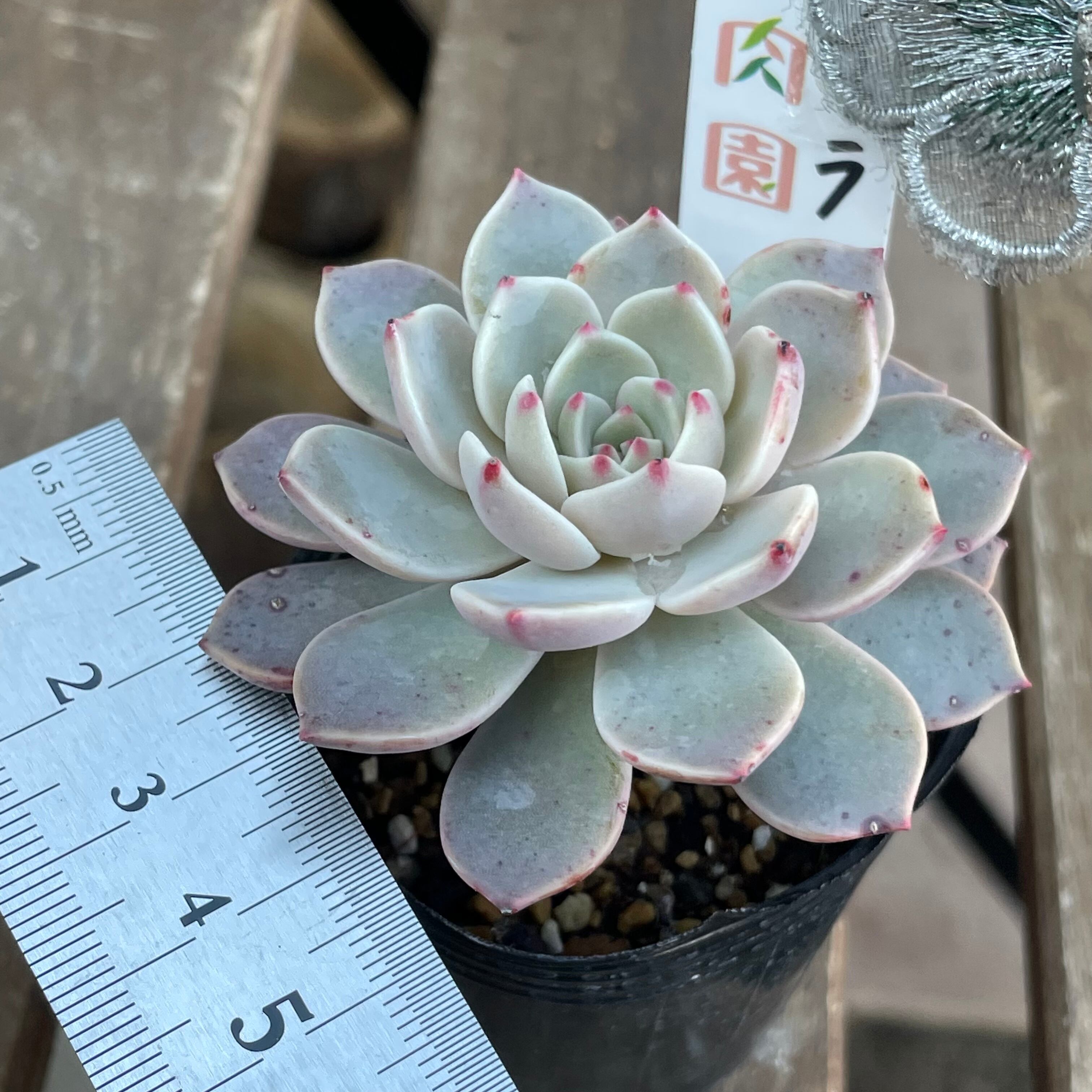 04b23e45229b1f11bd4f3dd77fc05c