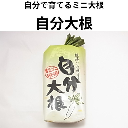 自分大根 ミニ大根 種 お鍋の野菜シリーズ 初心者向け